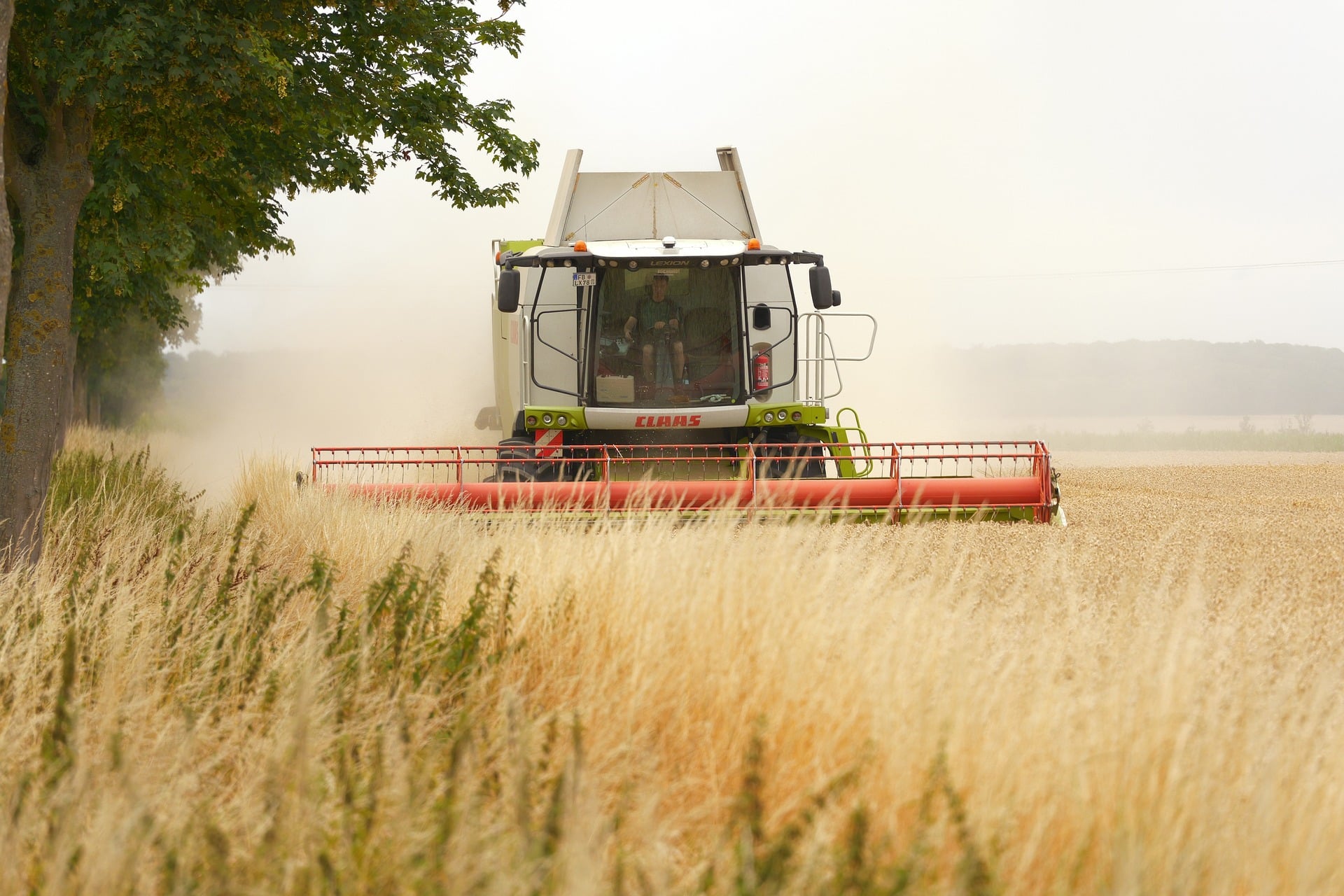 Agriculture and farm landscape